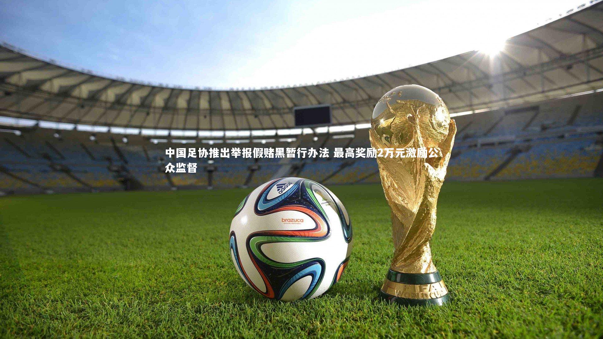 BT体育官网入口_中国足协推出举报假赌黑暂行办法 最高奖励2万元激励公众监督